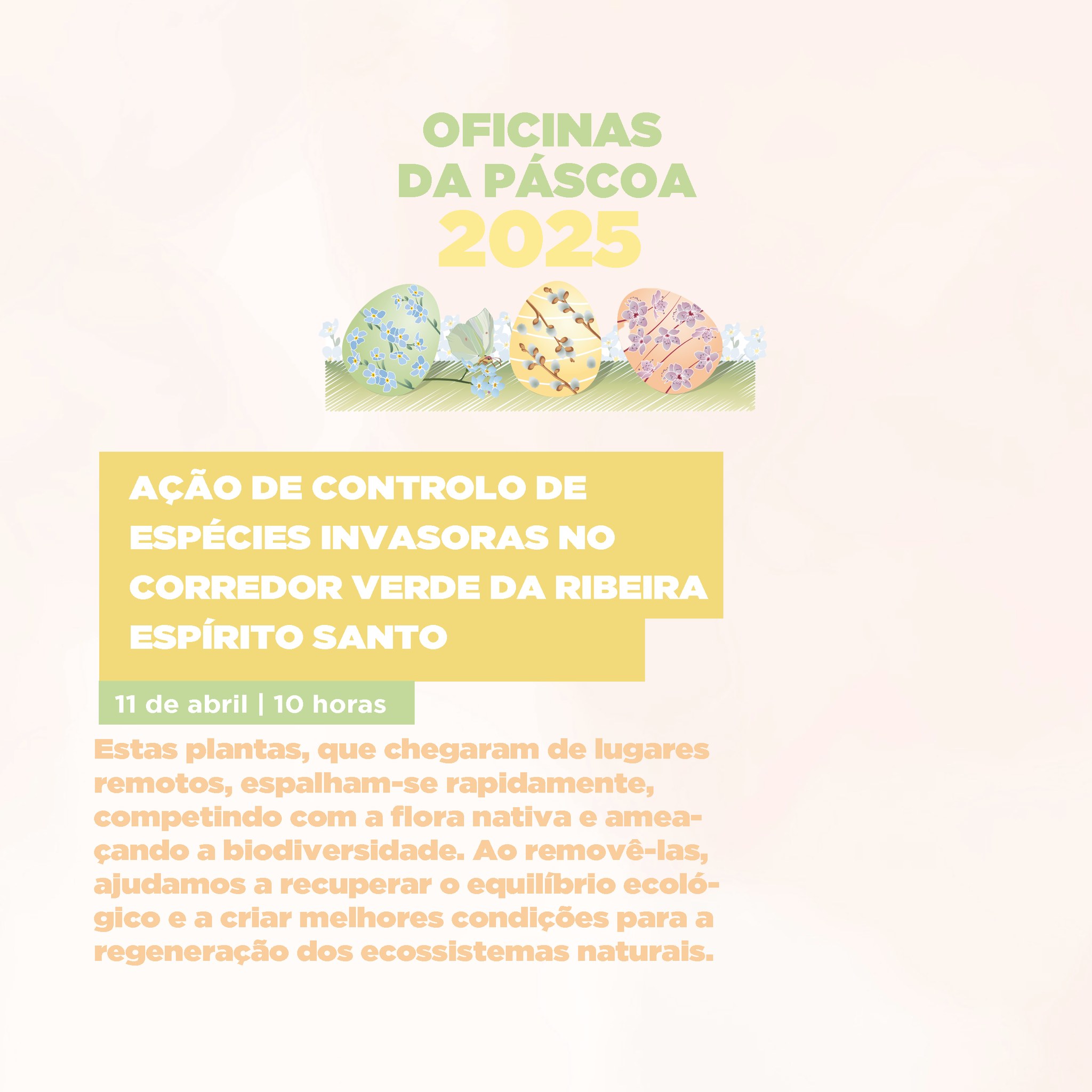 Cartaz do evento