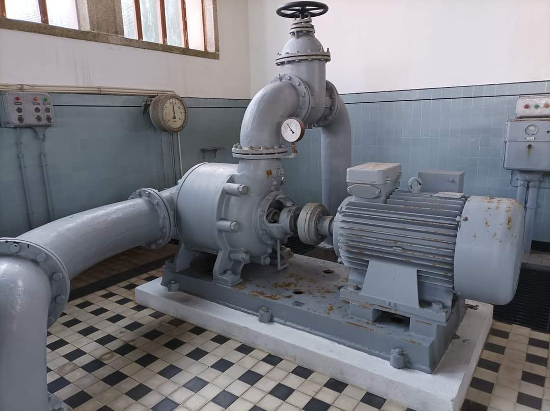 Fv