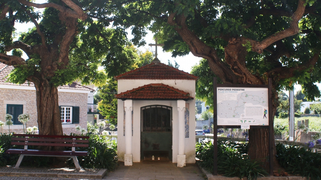 Tarouquela