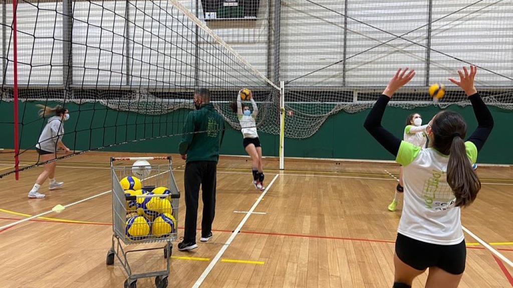 volei