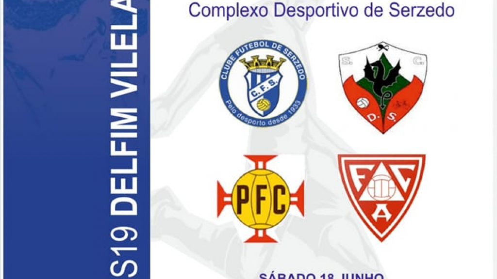 Torneio Delfim Vilela