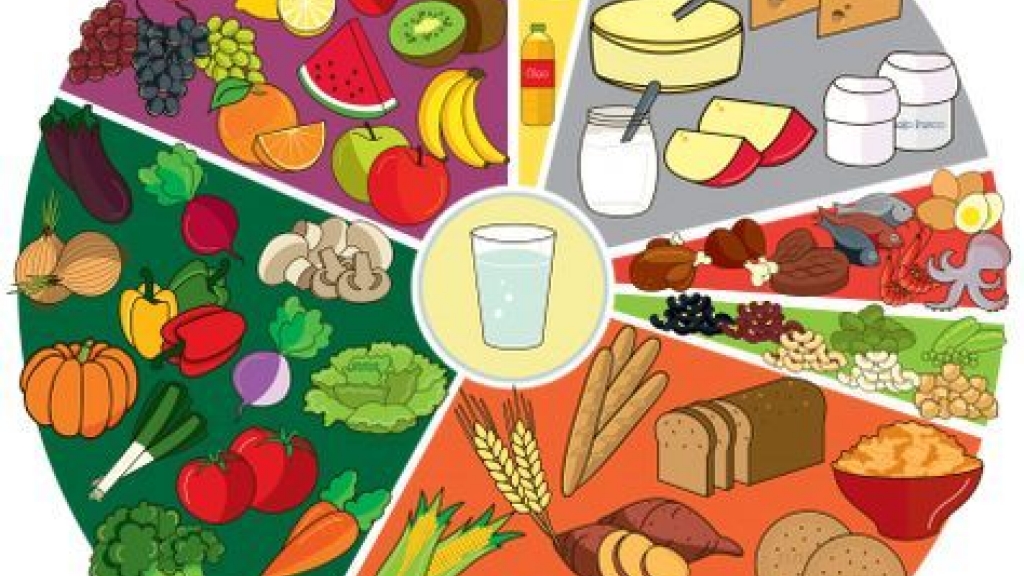 Roda dos Alimentos