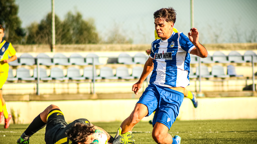 imagem o gaiense