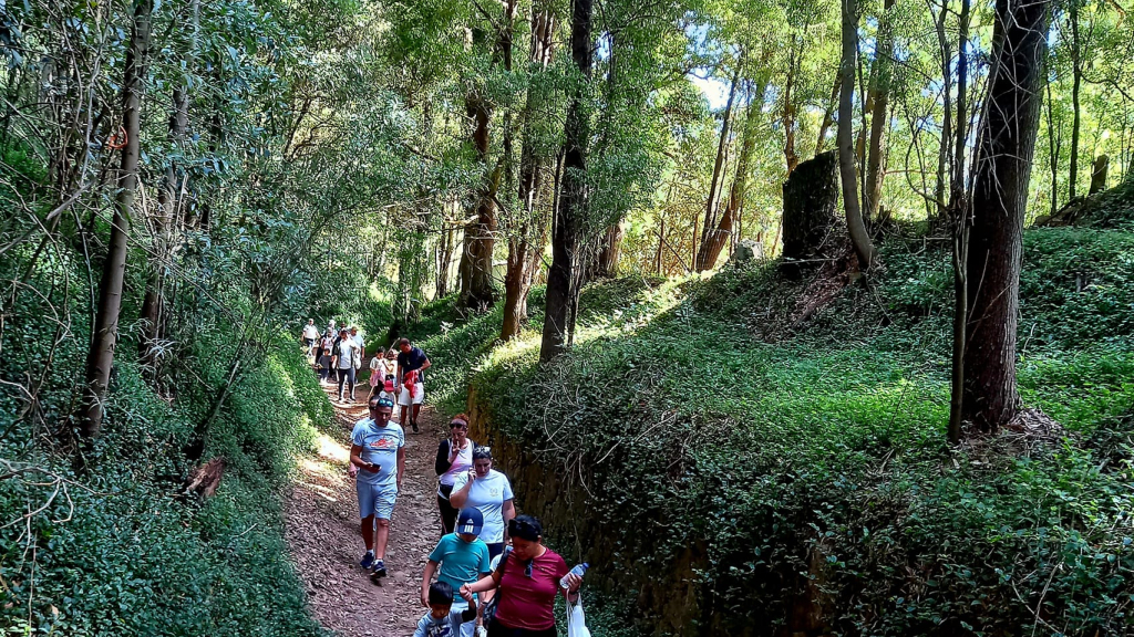 Um dos percursos da Serra de Negrelos.