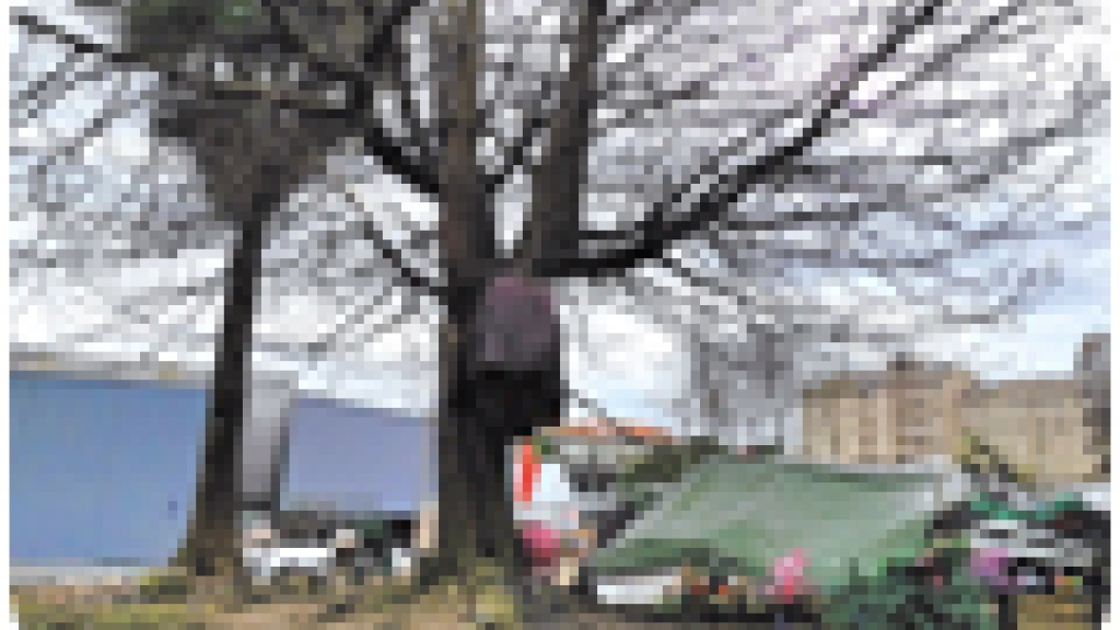 Do nada ficamos  sem teto e sem filha