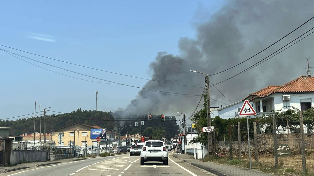 Foto de Miguel Brito