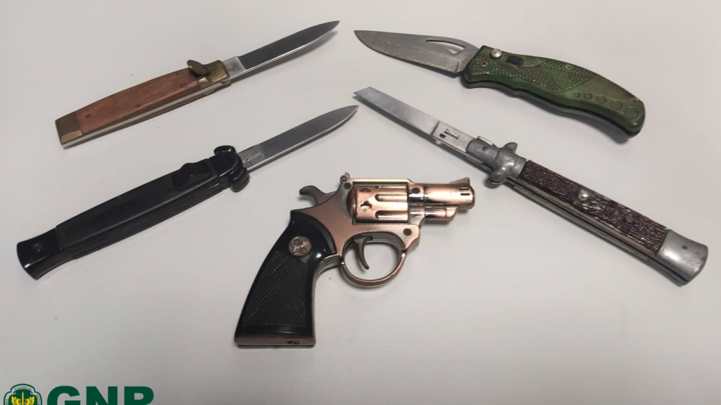 As armas aprendidas em casa do arguido